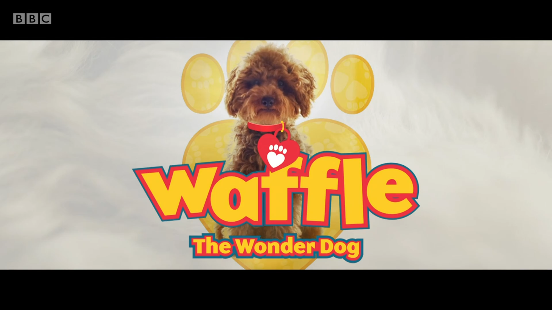 Waffle the Wonder Dog 图片1