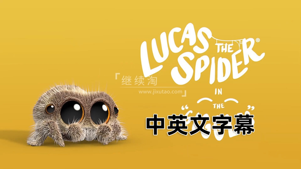 Lucas the Spider 小蜘蛛卢卡斯 蜘蛛卢卡斯 图片3