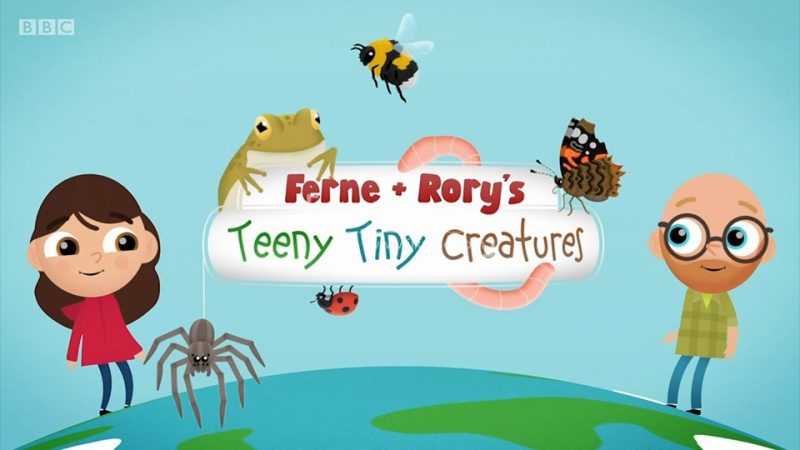 BBC儿童英语科普真人动画《Teeny Tiny Creatures》全1-3季共40集，1080P高清视频带英文字幕，百度网盘下载！ | 继续淘