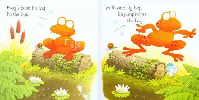 Usborne 斯伯恩绘本 图片11